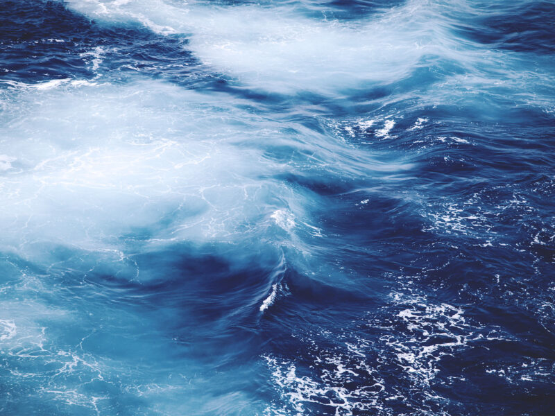 Seafood in Salmon Restaurant